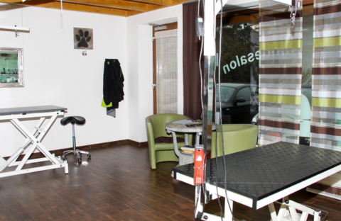Alex Hundesalon am bauernwald